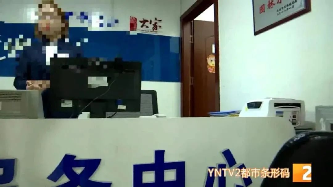 春城晚报(微信)