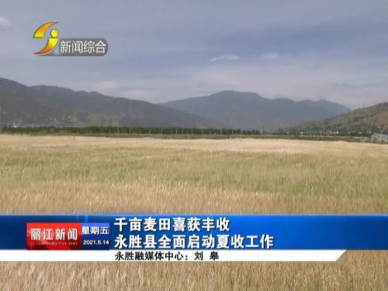 丽江新闻(微信)
