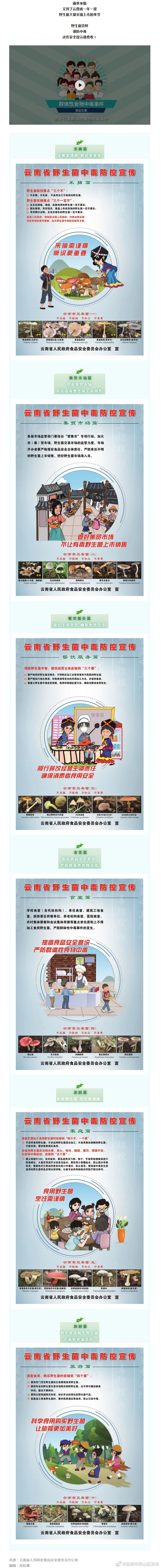 野生菌尝鲜谨防中毒！学校食堂等原则上不得加工食用野生菌