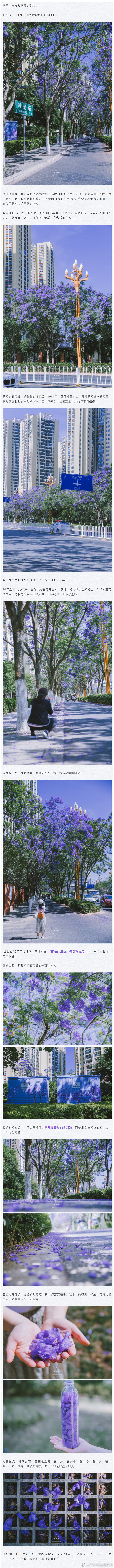 “昆明市西山区发布”微博