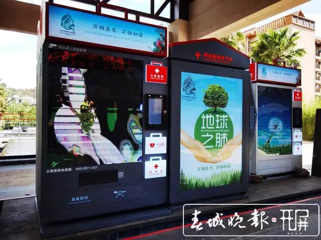 春城晚报(微信)