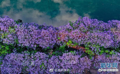 “昆明发布”微博