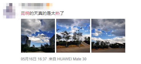 掌上春城(微信)