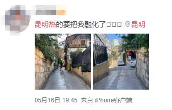掌上春城(微信)