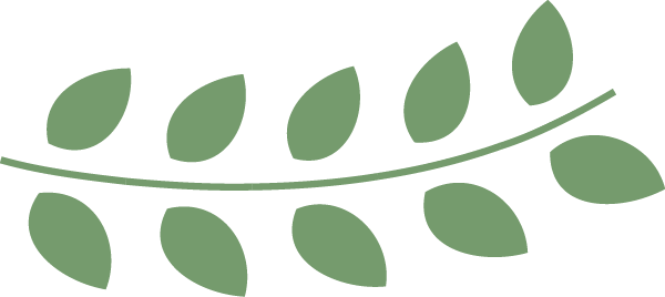 昆明市博物馆(微信)