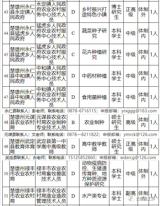 掌上春城(微信)