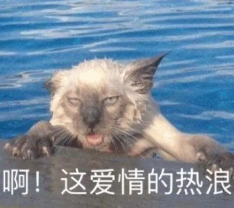 普洱日报(微信)