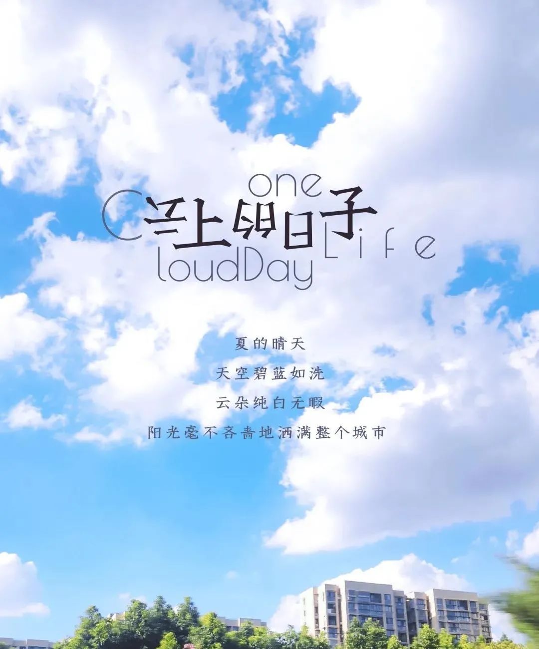 红河文旅(微信)