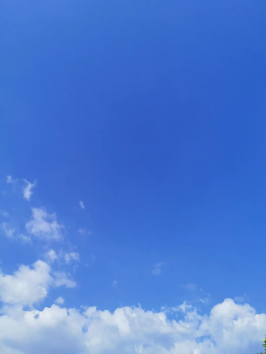 红河文旅(微信)