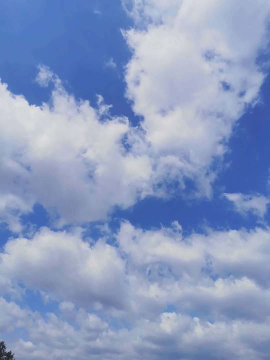 红河文旅(微信)