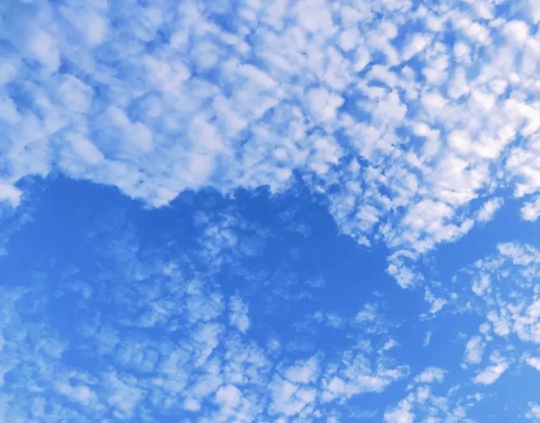 红河文旅(微信)