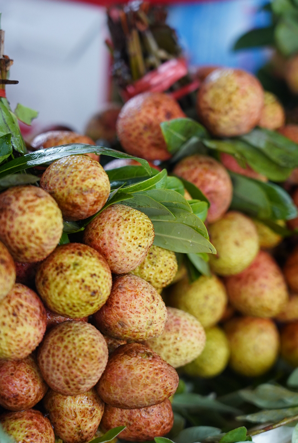 红河文旅(微信)