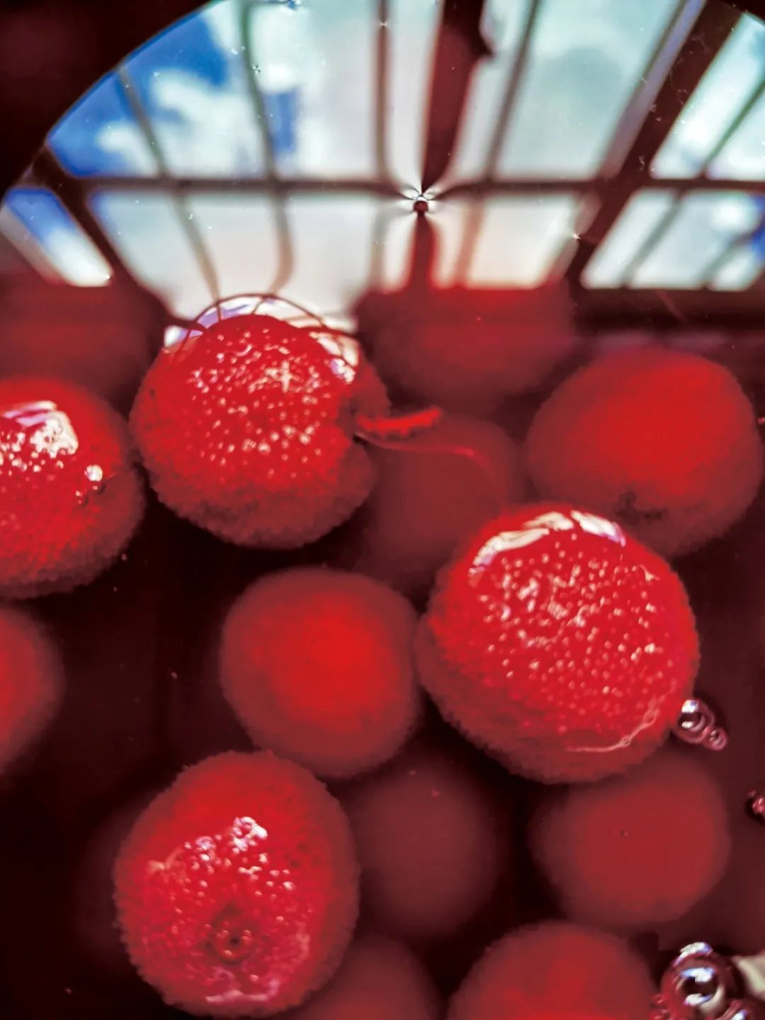 红河文旅(微信)