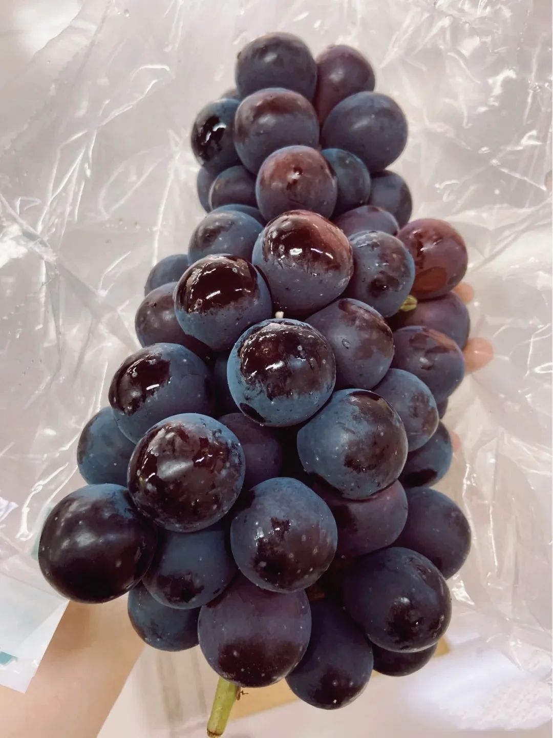 红河文旅(微信)