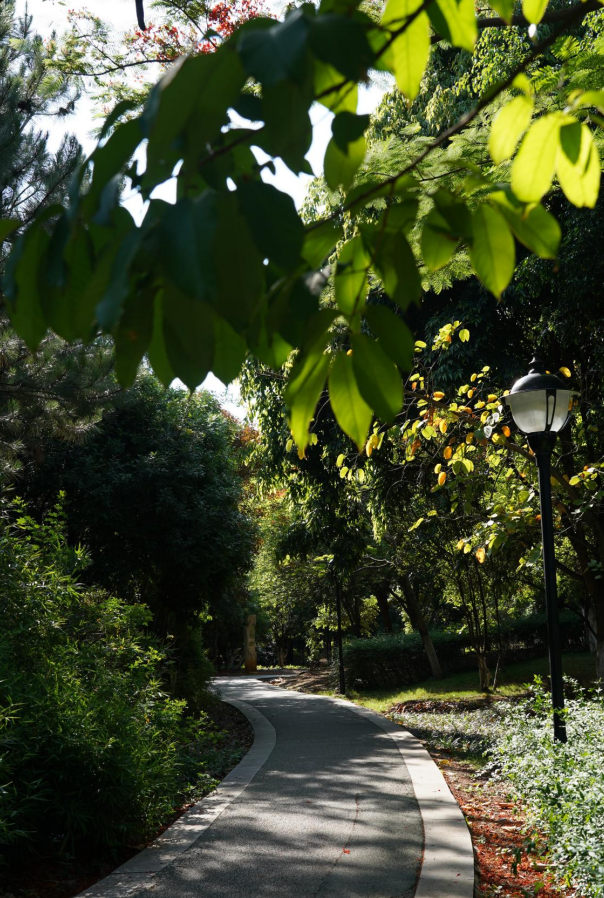 红河文旅(微信)