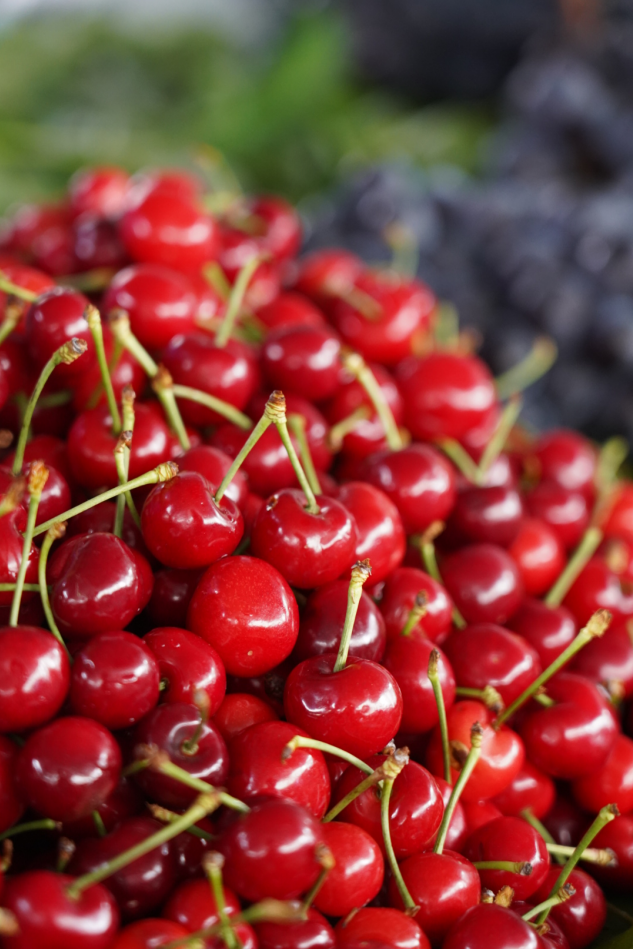 红河文旅(微信)