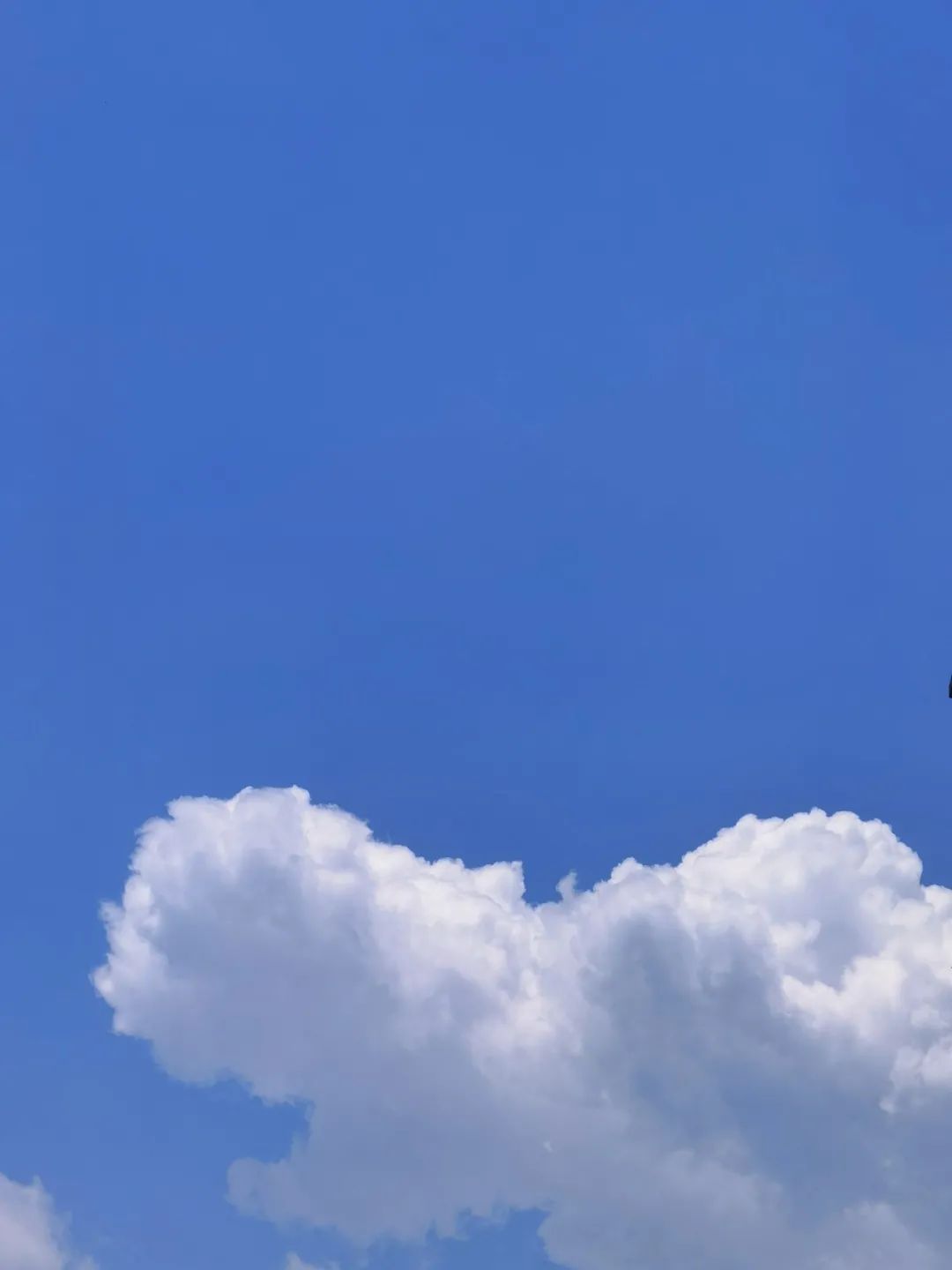 红河文旅(微信)