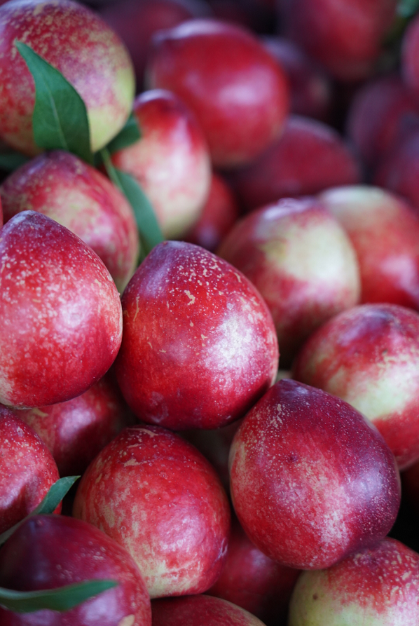 红河文旅(微信)