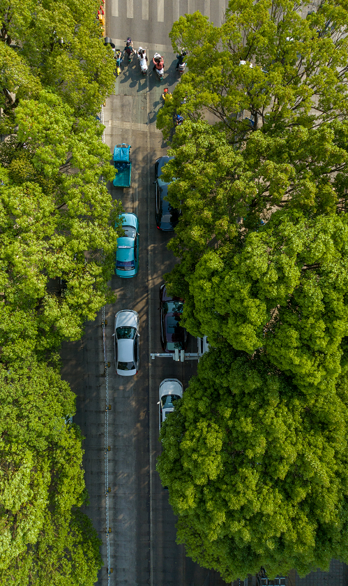 红河文旅(微信)