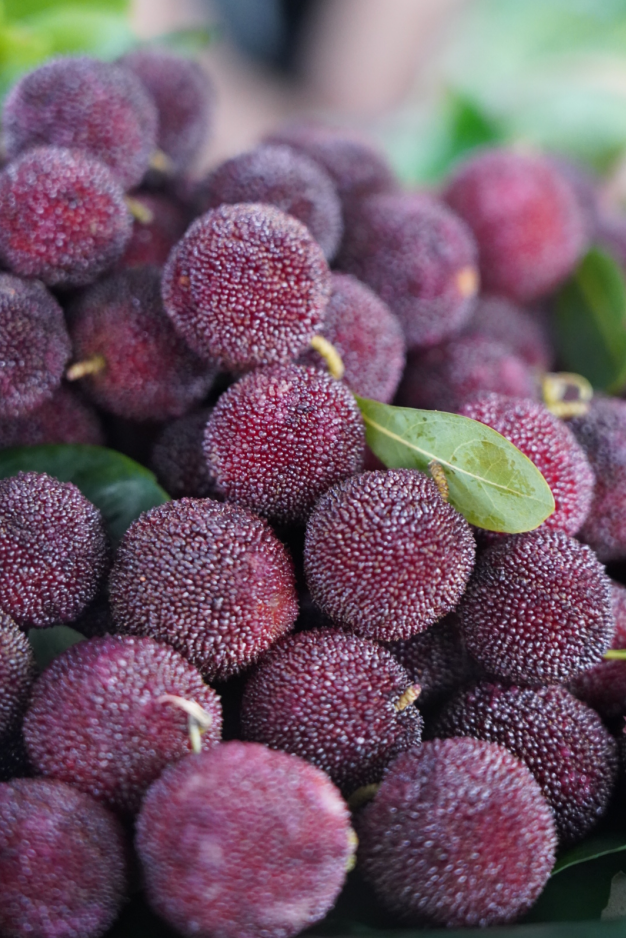 红河文旅(微信)