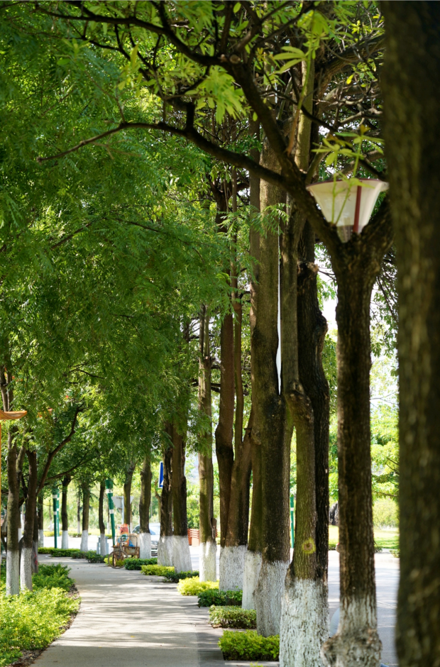 红河文旅(微信)