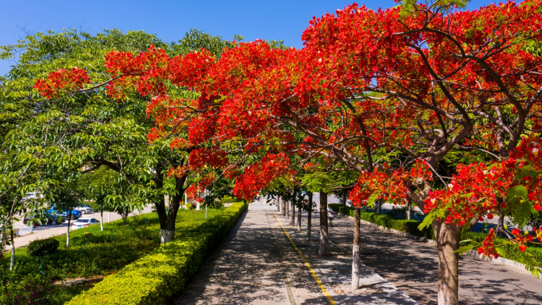 红河文旅(微信)