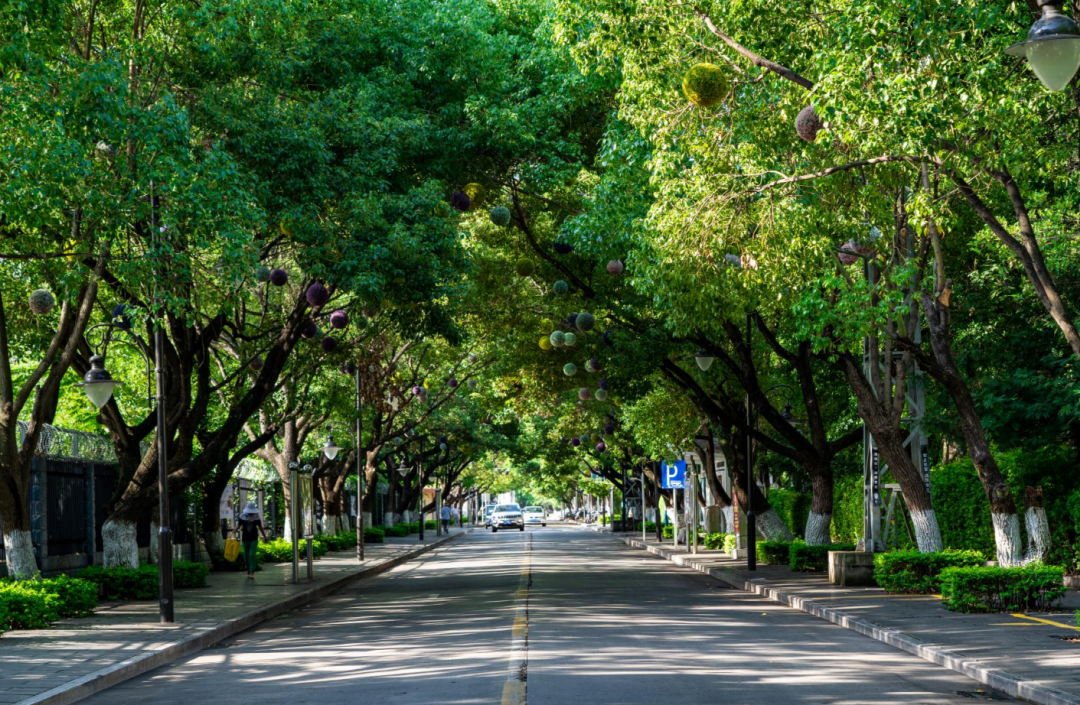 红河文旅(微信)