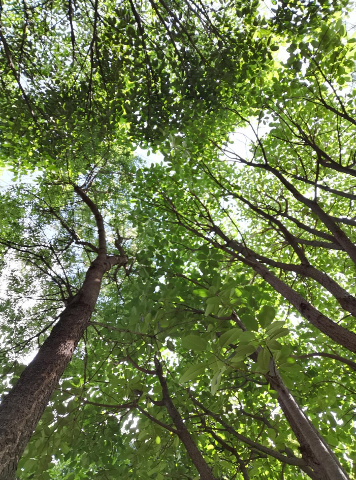 红河文旅(微信)