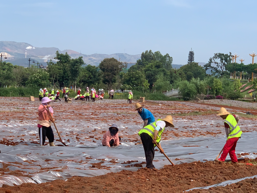 红河文旅(微信)