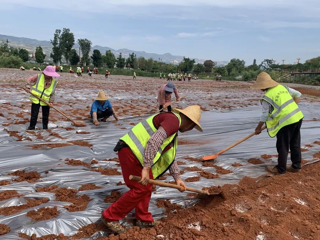 红河文旅(微信)