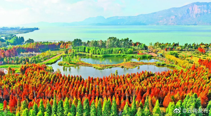 云南环境空气质量预报