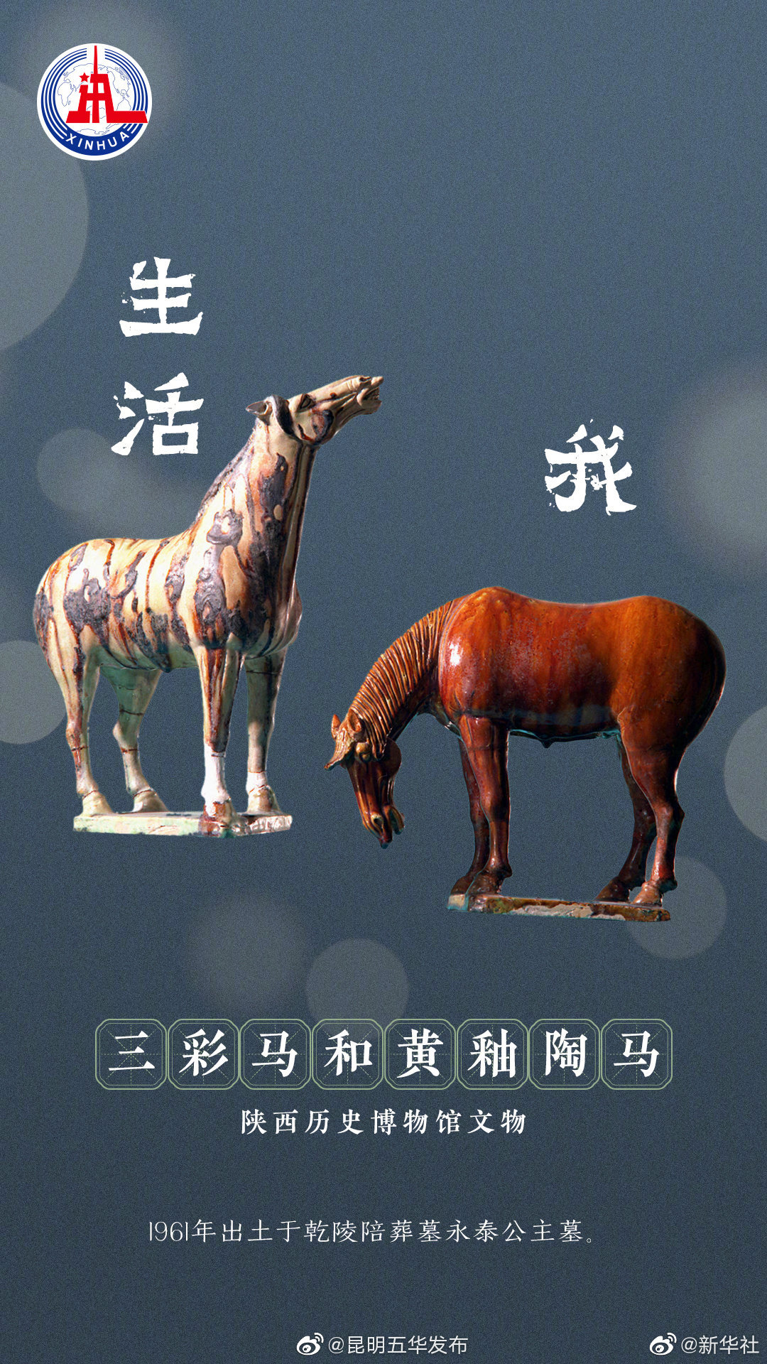 “昆明五华发布”微博