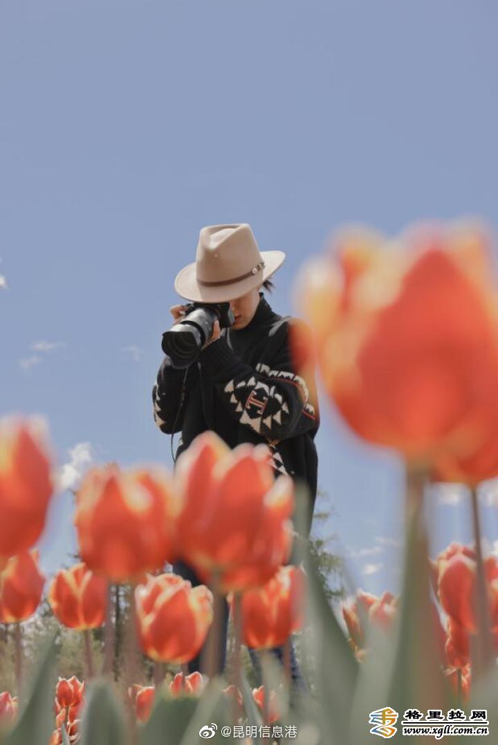 昆明信息港微博