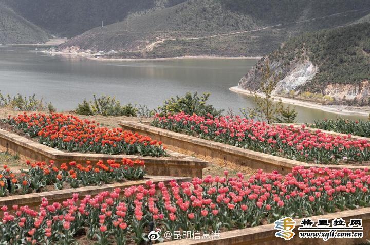 昆明信息港微博