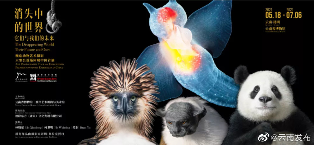 “云南发布”微博