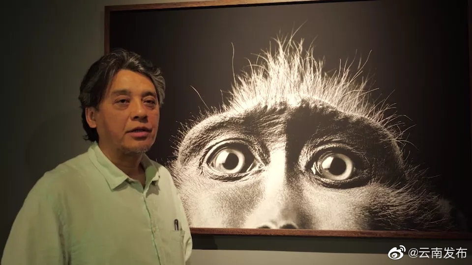 “云南发布”微博