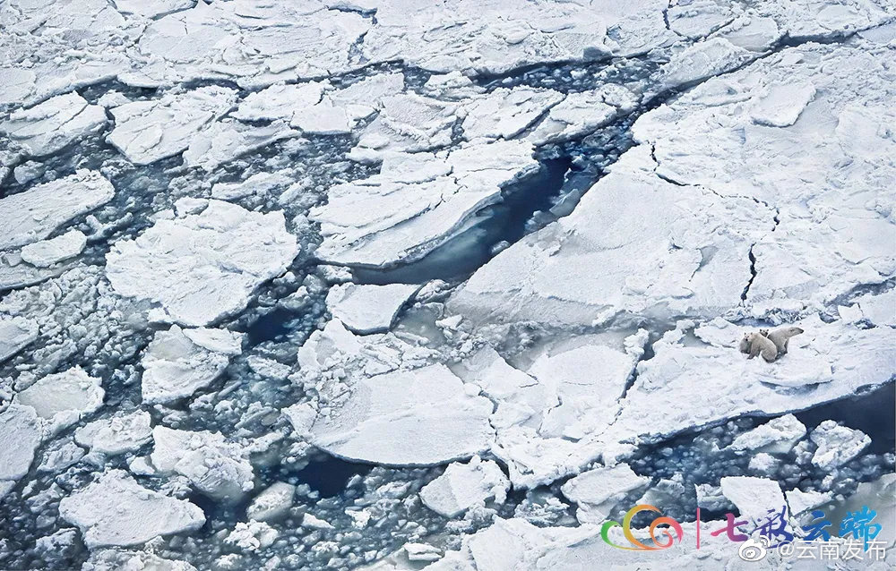 “云南发布”微博