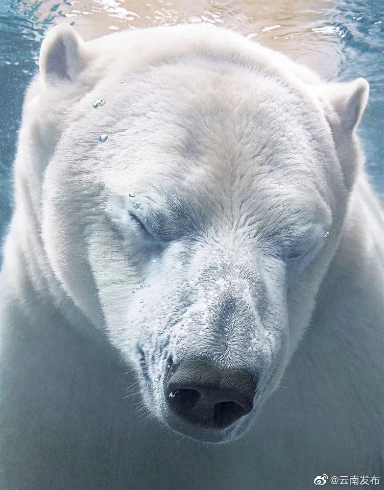 “云南发布”微博