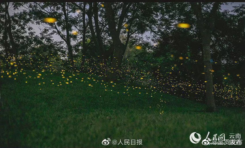 “呈贡发布”微博