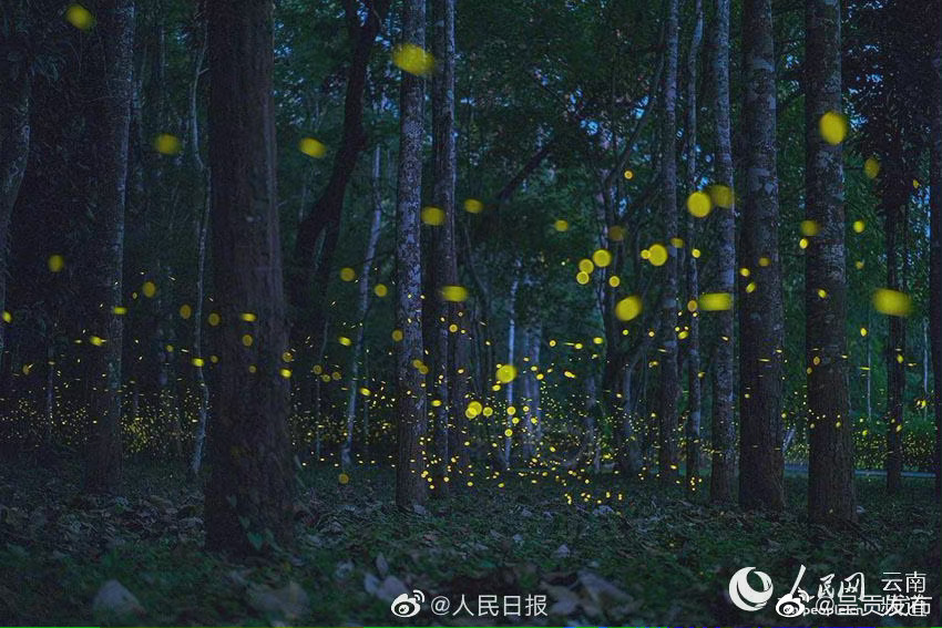“呈贡发布”微博