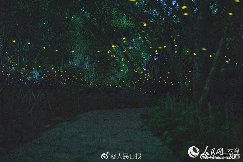 “呈贡发布”微博