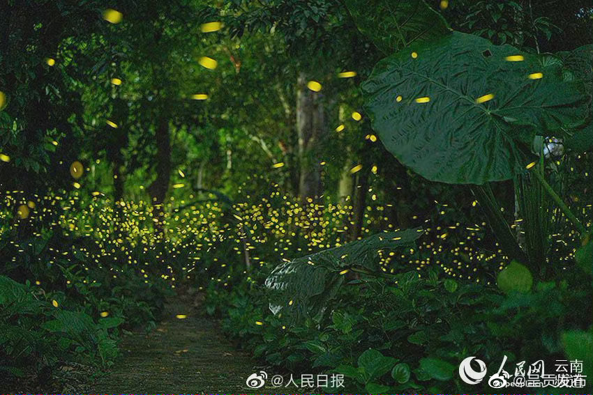 “呈贡发布”微博