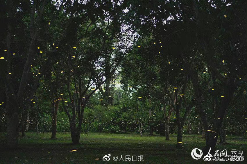 “呈贡发布”微博