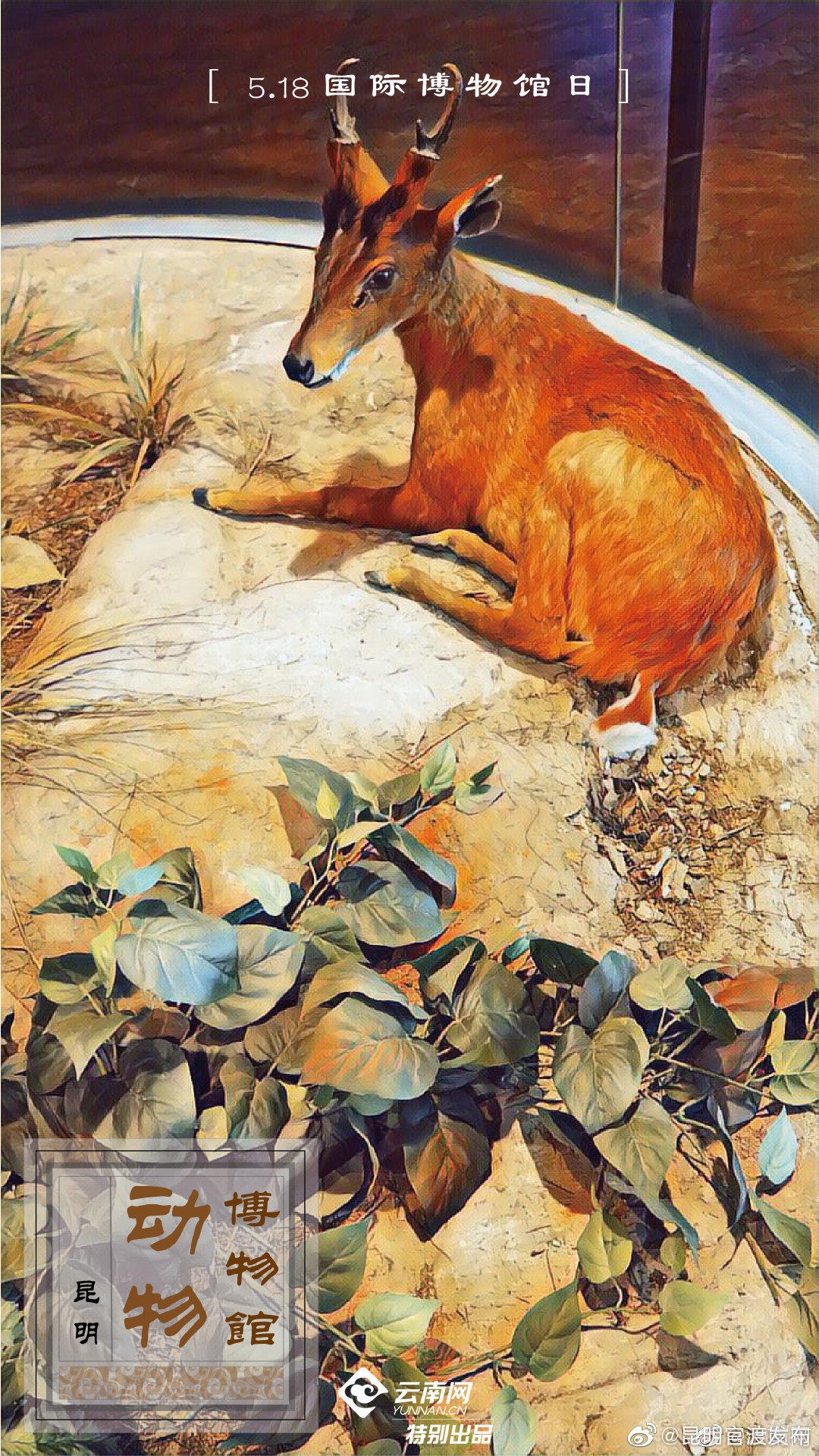 “昆明官渡发布”微博