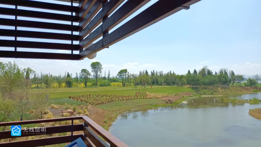 昆明信息港(微信)