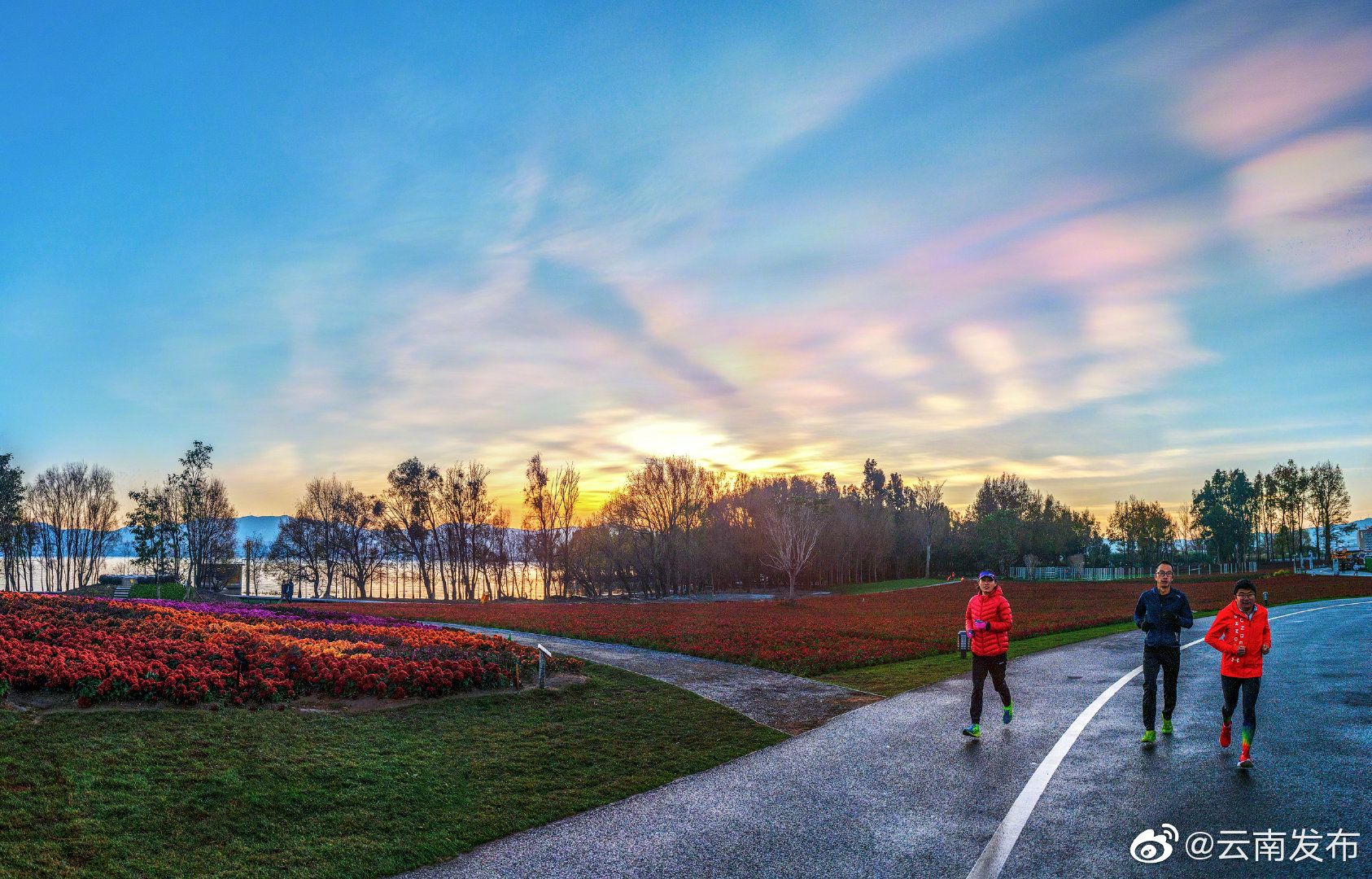 云南环境空气质量预报