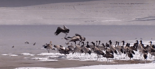 昆明发布(微信)