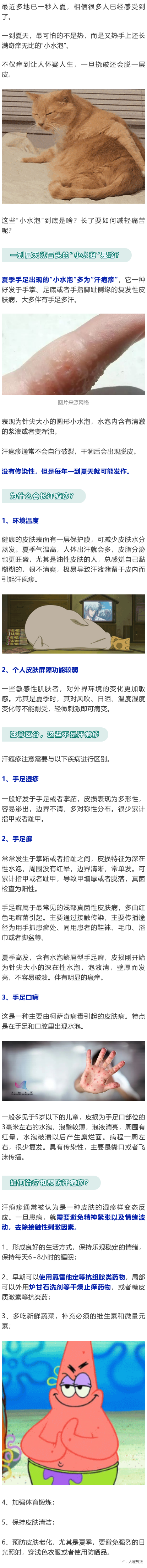 大理日报(微信)