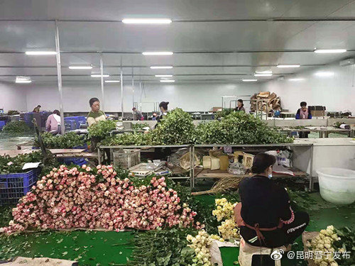 “昆明晋宁发布”微博