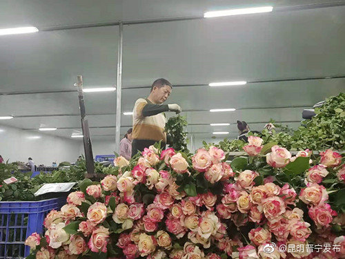 “昆明晋宁发布”微博